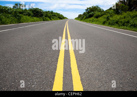 the road pass through the green jugle Stock Photo