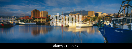 fishing boats moored in Victoria dock at dawn, Hobart,Tasmania, Australia Stock Photo