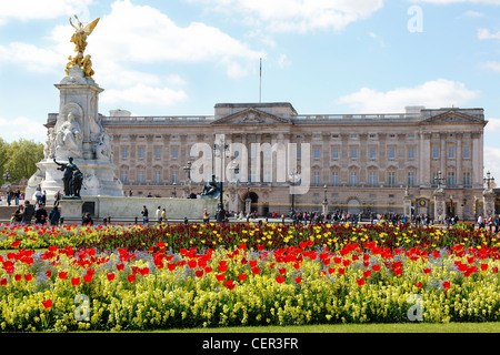 Buckingham Palace and Victoria Memorial with tulips in the foreground. Stock Photo