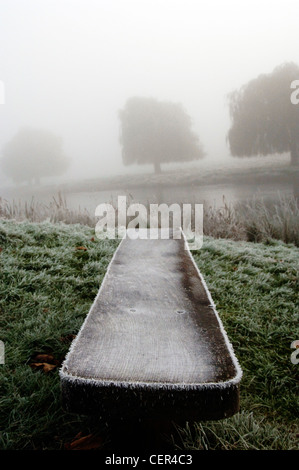 Frosty, foggy morning in Home Park. Stock Photo