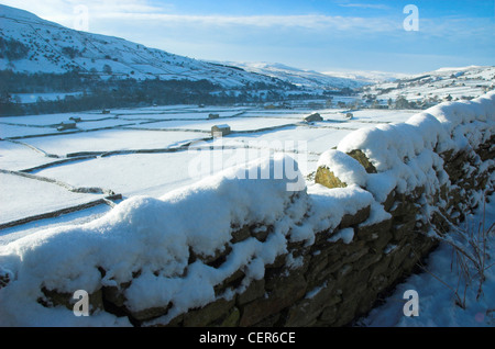 Snow covered fields and dry stone walls in Swaledale near Gunnerside. Stock Photo