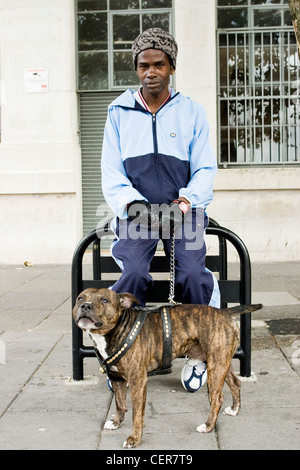 A man with his bull terrier. Staffordshire Bull Terriers are stocky, muscular dogs often referred to as 'keg on legs'. Stock Photo