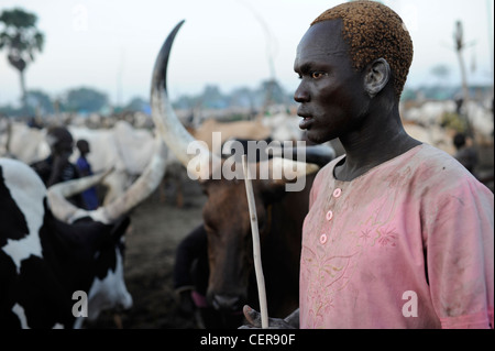 SOUTHERN SUDAN, Bahr al Ghazal region , Lakes State, Dinka tribe with Zebu cows in cattle camp near Rumbek Stock Photo