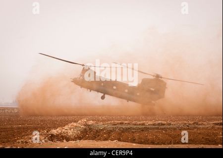 RAF Chinook helicopters on maneuvers in Moroccan desert, training for deployment to Afghanistan. Stock Photo