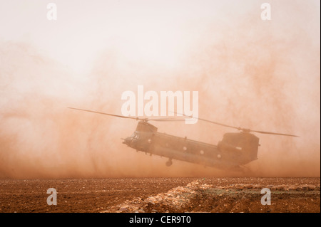 RAF Chinook helicopters on maneuvers in Moroccan desert, training for deployment to Afghanistan. Stock Photo