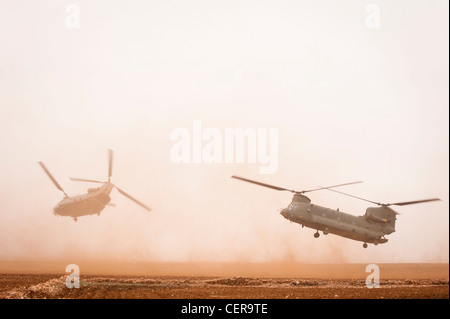 RAF Chinook helicopters on maneuvers in Moroccan desert, training for deployment to Afghanistan. Stock Photo