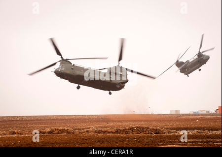 RAF Chinook helicopters on maneuvers in Moroccan desert, training for deployment to Afghanistan. Stock Photo