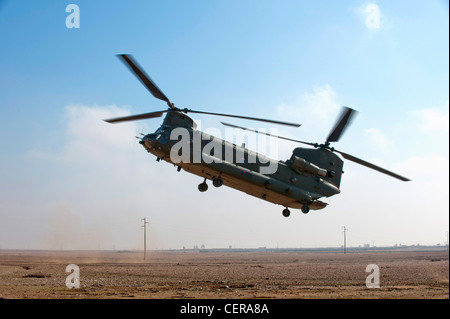 RAF Chinook helicopters on maneuvers in Moroccan desert, training for deployment to Afghanistan. Stock Photo