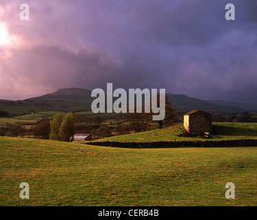 A view toward Askrigg with Wether Fell in the background. This barn lies near the village of Askrigg in the Yorkshire Dales Nati Stock Photo
