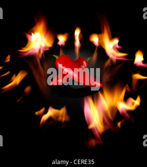 TWO CHILLI PEPPERS SURROUNDED BY FIRE ON A BLACK BACKGROUND Stock Photo