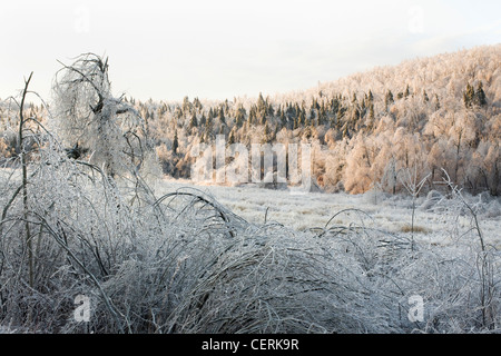 A severe ice storm leaves an enchanting rural scene in the Berkshires. Stock Photo