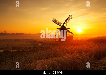 Hoar frosted reeds and morning mist at Herringfleet Windmill. Stock Photo