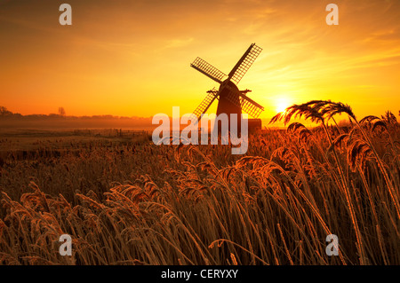 Hoar frosted reeds and morning mist at Herringfleet Windmill. Stock Photo