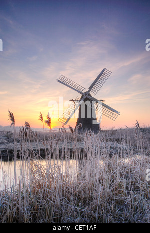 A misty sunrise over hoar frosted reeds and Herringfleet Windmill in Suffolk. Stock Photo