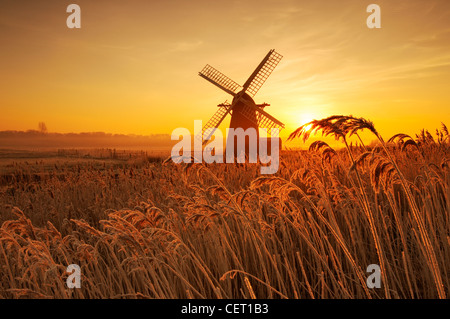 A misty sunrise over hoar frosted reeds and Herringfleet Windmill in Suffolk. Stock Photo