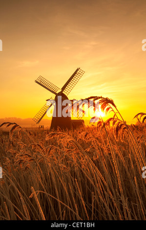 A misty sunrise over hoar frosted reeds and Herringfleet Windmill in Suffolk. Stock Photo