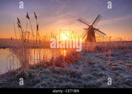 A misty sunrise over hoar frosted reeds and Herringfleet Windmill in Suffolk. Stock Photo