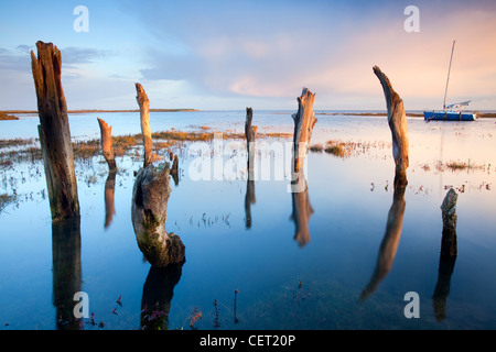 Thornham Harbour and the remains of an ancient wooden pier at high tide on the North Norfolk Coast. Stock Photo