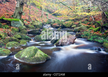 Burbage Brook flowing over boulders in Padley Gorge, one of the finest remaining examples of oak and birch woodland that once co Stock Photo