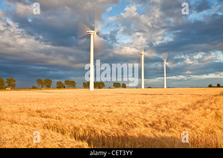 Wind turbines and a summer crop of Barley on Blood Hill at Winterton-on-Sea. Stock Photo