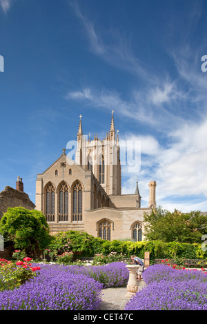 View from the Abbey Gardens to St Edmundsbury Cathedral, built in 1503 as St James' Church becoming a Cathedral in 1914. Stock Photo
