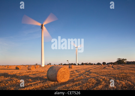 Hay Bales and wind turbines on Blood Hill at Winterton Windfarm. Stock Photo