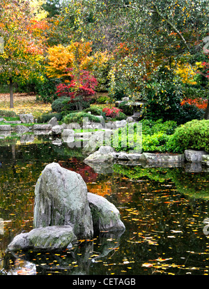 Autumnal colours on display in the Kyoto Garden in Holland Park.