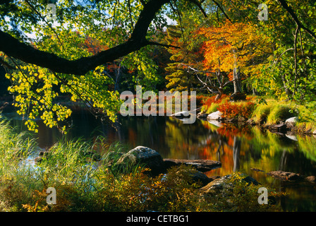 Autumn, Mersey River, nr Kejimkujik National Park, Nova Scotia, Canada Stock Photo