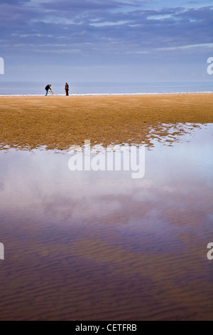 People playing with a dog on the beach at Prestatyn. Stock Photo