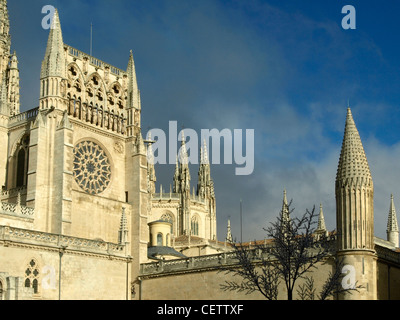 Burgos cathedral details Stock Photo