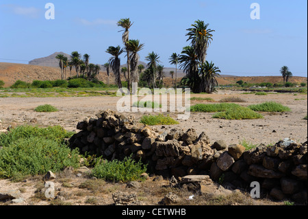 Valley of Rio Norte, Cape Verde Islands Tal des Rio Norte, Boa Vista, Kapverden, Afrika Stock Photo