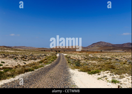 Valley of Rio Norte, Cape Verde Islands Tal des Rio Norte, Boa Vista, Kapverden, Afrika Stock Photo