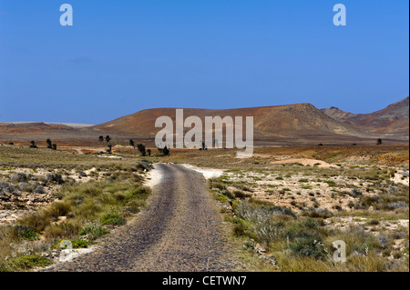 Valley of Rio Norte, Cape Verde Islands Tal des Rio Norte, Boa Vista, Kapverden, Afrika Stock Photo