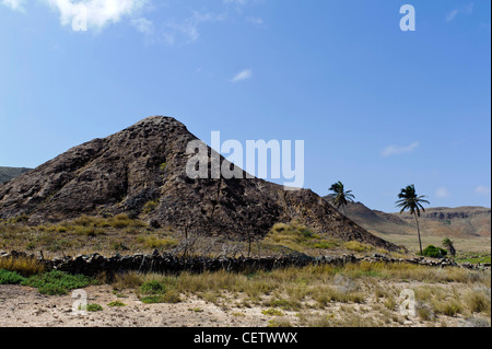 Valley of Rio Norte, Cape Verde Islands Tal des Rio Norte, Boa Vista, Kapverden, Afrika Stock Photo