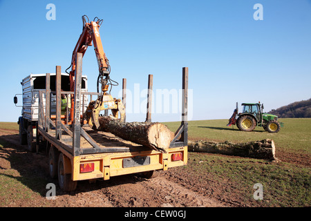 Farmer in South Wales, loading up a flatbed with trees that were toppled in a storm using a mechanical grabber. Stock Photo