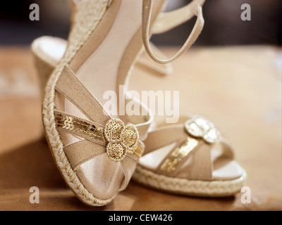 A still life shot of a pair of womens shoes Stock Photo