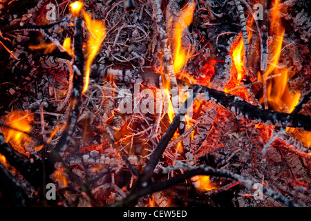 Embers of garden fire Stock Photo