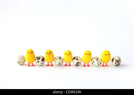 Five little chickens in a line Stock Photo