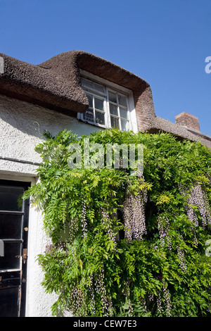England Dorset Tolpuddle Traditional Thatched Cottage (Detail) Stock Photo