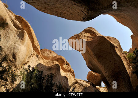 Desert canyon scene Stock Photo