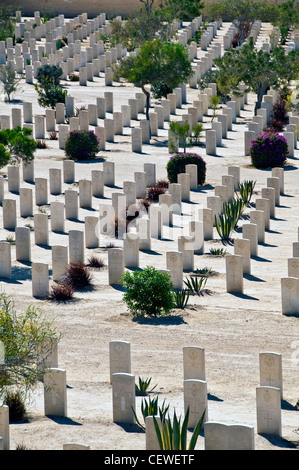 Egypt, El Alamein World War 2 Commonwealth Cemetery with lines of white tombstones, Stock Photo