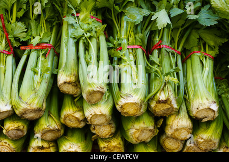 Freshly harvested green celery on display at the farmer's market Stock Photo
