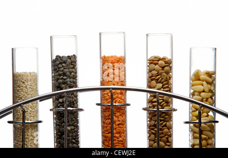 Sesame seeds, Puy lentils, split red lentils, brown lentils and pine nuts in glass test tubes in a chrome stand Stock Photo