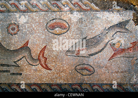 Ancient Roman mosaic depicting fishes in Ruins of Milreu which are the remains of an important Roman villa rustica with annexed thermae and several surrounding buildings, including a temple located in the civil parish of Estoi in the municipality of Faro in Algarve the southernmost region of Portugal Stock Photo