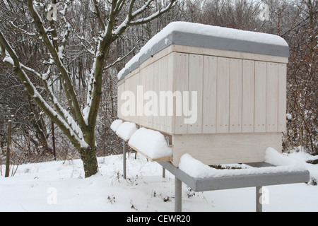Wooden beehives covered by snow on the apiary in Slovakia. Stock Photo