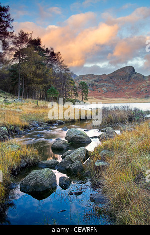 Looking across Blea Tarn towards Side Pike. Stock Photo