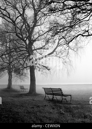 Park benches and birch trees in the morning mist at Newnham-on-Severn. In Roman times, three important roads (including the majo Stock Photo