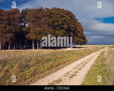 The Ridgeway National Trail covers 87 miles from Avebury in Wiltshire to Ininghoe Beacon in Buckinghamshire. Stock Photo