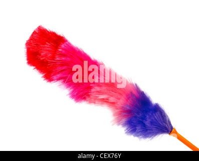 A pink feather duster Stock Photo - Alamy