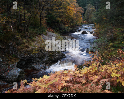 River Mawddach flowing through the Coed y Brenin forest park in the heart of Snowdonia National Park. Stock Photo